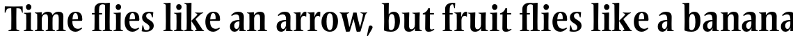 Frutiger Serif Pro Condensed Bold