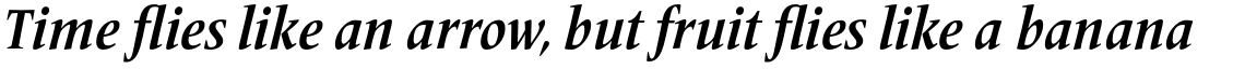 Frutiger Serif Pro Condensed Bold Italic