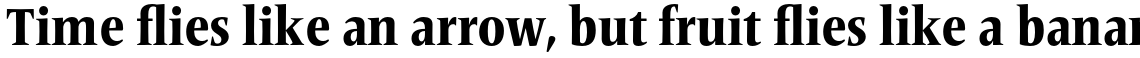Frutiger Serif Pro Condensed Heavy