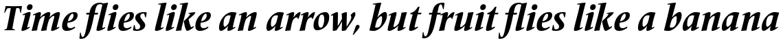 Frutiger Serif Pro Condensed Heavy Italic