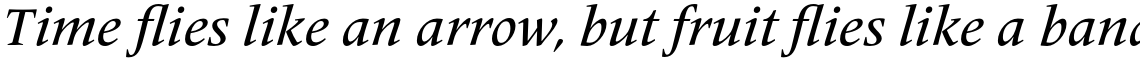 Frutiger Serif Pro Medium Italic