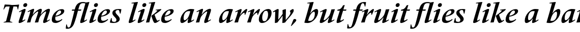 Frutiger Serif Pro Bold Italic