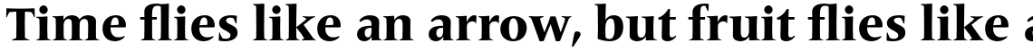 Frutiger Serif Pro Heavy