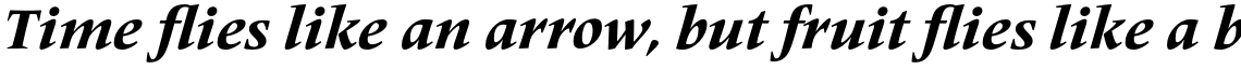 Frutiger Serif Pro Heavy Italic