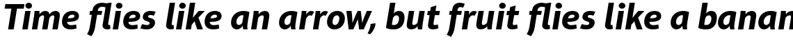Aptifer Sans Pro Bold Italic