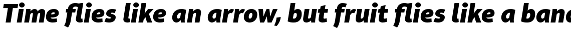 Aptifer Sans Pro Black Italic