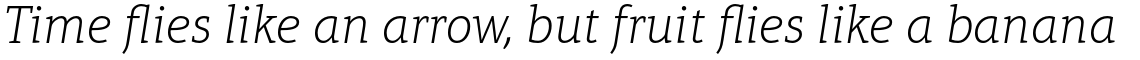 Aptifer Slab Pro Thin Italic