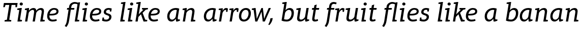 Aptifer Slab Pro Italic