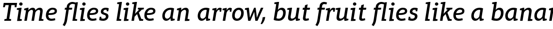 Aptifer Slab Pro Medium Italic