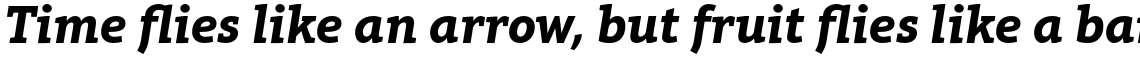 Aptifer Slab Pro Bold Italic
