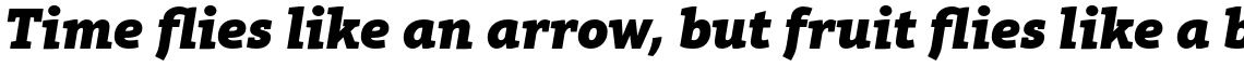 Aptifer Slab Pro Black Italic