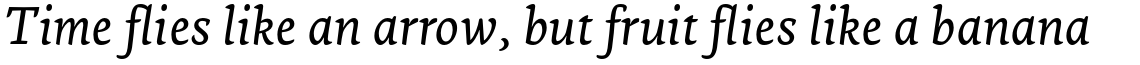 Ginkgo Pro Italic