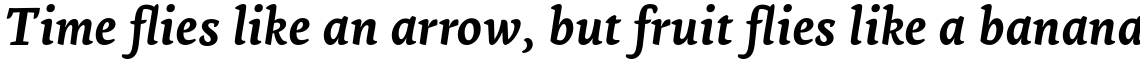 Ginkgo Pro Bold Italic