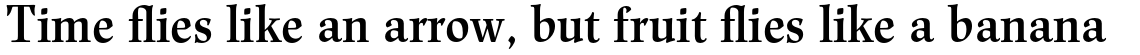Renner Antiqua Pro Demi
