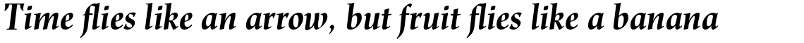 Renner Antiqua Pro Bold Italic