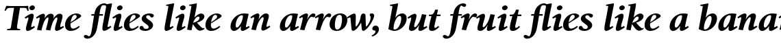 Birka Pro Bold Italic