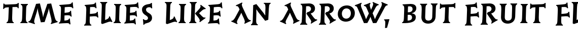 Linotype Syntax Lapidar Serif Display Pro Bold