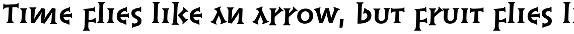Linotype Syntax Lapidar Serif Text Pro Bold