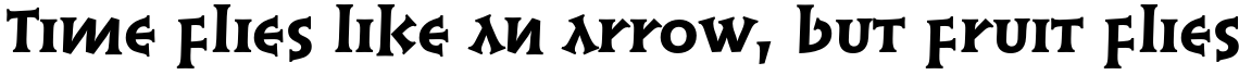 Linotype Syntax Lapidar Serif Text Pro Heavy