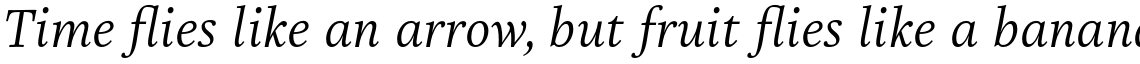 Really No 2 Paneuropean Light Italic
