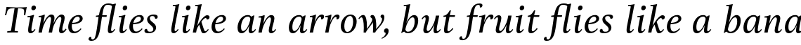 Really No 2 Paneuropean Medium Italic