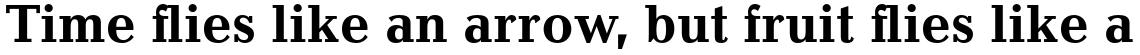 Candida Std Bold