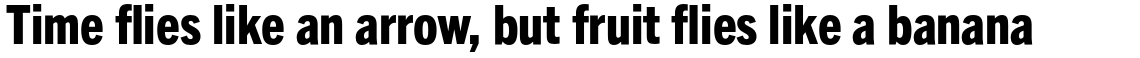 Trade Gothic Next Pro Condensed Heavy