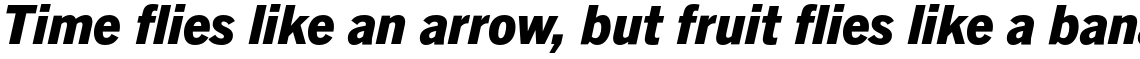 Trade Gothic Next Pro Heavy Italic
