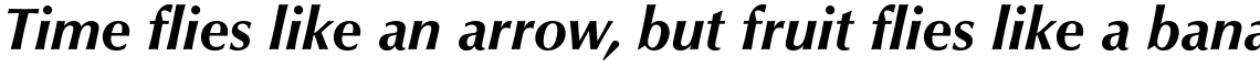 Optima Std Bold Italic