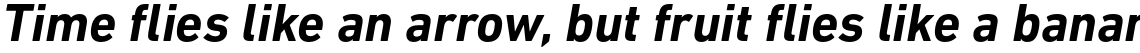 DIN Next Pro Bold Italic