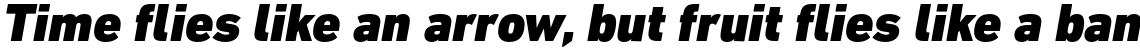 DIN Next Pro Black Italic