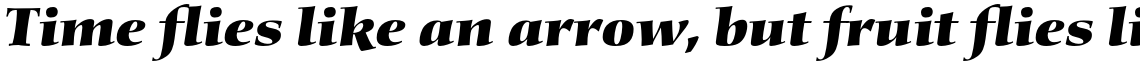 Diotima Classic Pro Heavy Italic