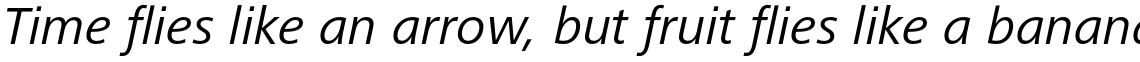 Frutiger Next Paneuropean Italic