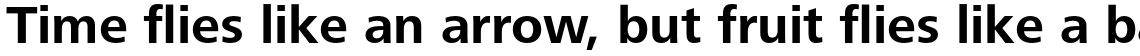 Frutiger Next Paneuropean Bold