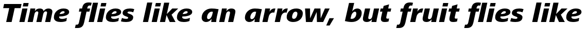 Frutiger Next Paneuropean Heavy Italic