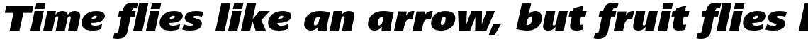 Frutiger Next Paneuropean Black Italic