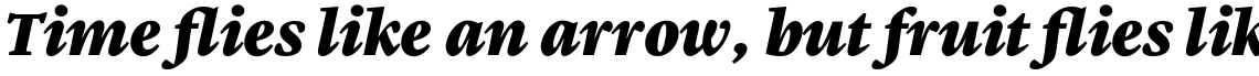 Malabar Pro Heavy Italic