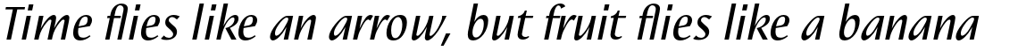 Nautilus Text Pro Italic