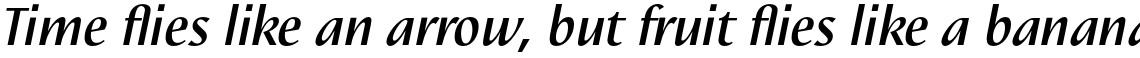 Nautilus Text Pro Medium Italic