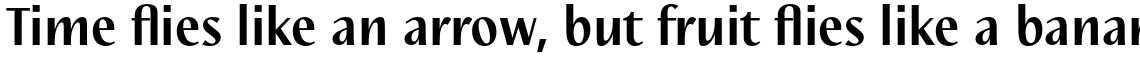 Nautilus Text Pro Bold