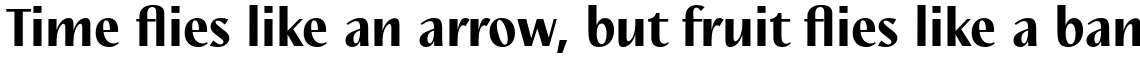 Nautilus Text Pro Black