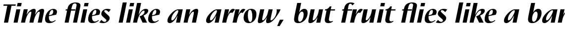 Nautilus Text Pro Black Italic