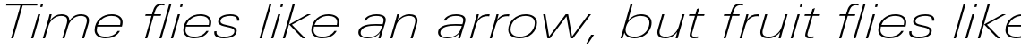 Univers Next Pro 241 Extended Thin Italic