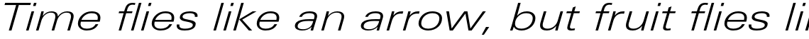 Univers Next Pro 341 Extended Light Italic