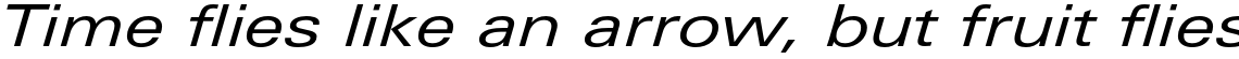 Univers Next Pro 441 Extended Regular Italic