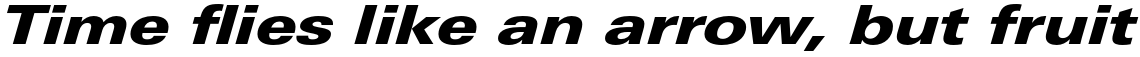 Univers Next Pro 841 Extended Black Italic