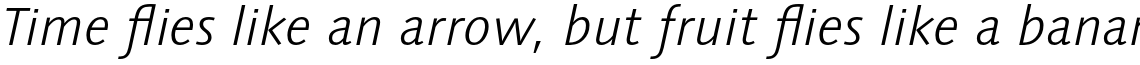 Syntax Next Pro Light Italic