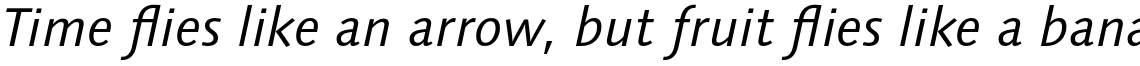 Syntax Next Pro Italic