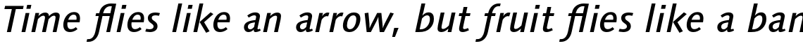 Syntax Next Pro Medium Italic