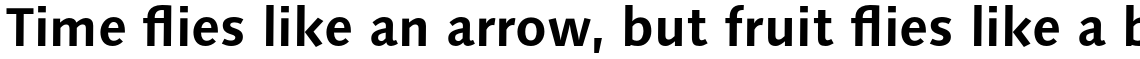 Syntax Next Pro Bold
